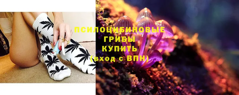 Галлюциногенные грибы MAGIC MUSHROOMS  Звенигово 